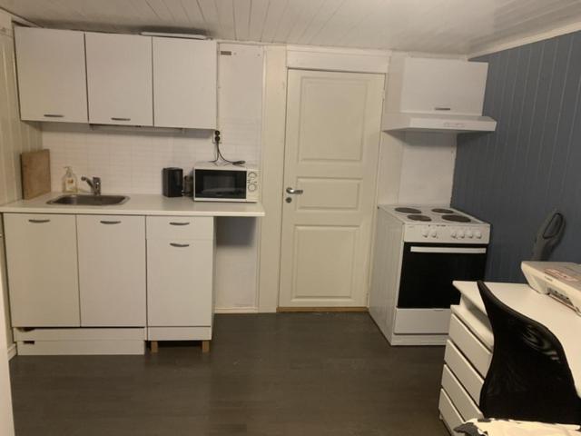 Apartament Trivelig Leilighet Gratis Parkering Pa Stedet! Porsgrunn Zewnętrze zdjęcie